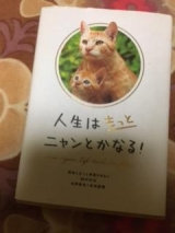 風俗,ソープ,ヘルス,ソープヘルス,マットヘルス,広島,薬研堀,はだかの王様,大人気