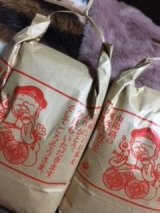 風俗,ソープ,ヘルス,ソープヘルス,マットヘルス,広島,薬研堀,はだかの王様,大人気