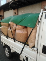 風俗,ソープ,ヘルス,ソープヘルス,マットヘルス,広島,薬研堀,はだかの王様,大人気