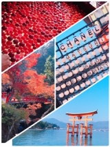 風俗,ソープ,ヘルス,ソープヘルス,マットヘルス,広島,薬研堀,はだかの王様,大人気