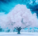 風俗,ソープ,ヘルス,ソープヘルス,マットヘルス,広島,薬研堀,はだかの王様,大人気