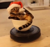 風俗,ソープ,ヘルス,ソープヘルス,マットヘルス,広島,薬研堀,はだかの王様,大人気