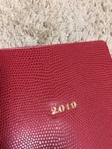 風俗,ソープ,ヘルス,ソープヘルス,マットヘルス,広島,薬研堀,はだかの王様,大人気