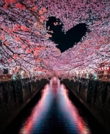 風俗,ソープ,ヘルス,ソープヘルス,マットヘルス,広島,薬研堀,はだかの王様,大人気