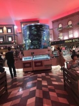 風俗,ソープ,ヘルス,ソープヘルス,マットヘルス,広島,薬研堀,はだかの王様,大人気