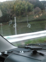 風俗,ソープ,ヘルス,ソープヘルス,マットヘルス,広島,薬研堀,はだかの王様,大人気