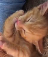 風俗,ソープ,ヘルス,ソープヘルス,マットヘルス,広島,薬研堀,はだかの王様,大人気