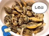 風俗,ソープ,ヘルス,ソープヘルス,マットヘルス,広島,薬研堀,はだかの王様,大人気