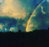 風俗,ソープ,ヘルス,ソープヘルス,マットヘルス,広島,薬研堀,はだかの王様,大人気