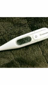 風俗,ソープ,ヘルス,ソープヘルス,マットヘルス,広島,薬研堀,はだかの王様,大人気