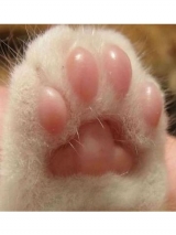 風俗,ソープ,ヘルス,ソープヘルス,マットヘルス,広島,薬研堀,はだかの王様,大人気