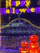 風俗,ソープ,ヘルス,ソープヘルス,マットヘルス,広島,薬研堀,はだかの王様,大人気