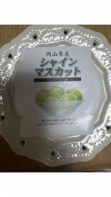 風俗,ソープ,ヘルス,ソープヘルス,マットヘルス,広島,薬研堀,はだかの王様,大人気