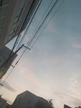 風俗,ソープ,ヘルス,ソープヘルス,マットヘルス,広島,薬研堀,はだかの王様,大人気