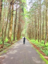 風俗,ソープ,ヘルス,ソープヘルス,マットヘルス,広島,薬研堀,はだかの王様,大人気