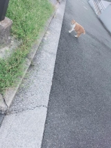 風俗,ソープ,ヘルス,ソープヘルス,マットヘルス,広島,薬研堀,はだかの王様,大人気