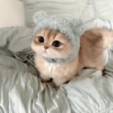 風俗,ソープ,ヘルス,ソープヘルス,マットヘルス,広島,薬研堀,はだかの王様,大人気