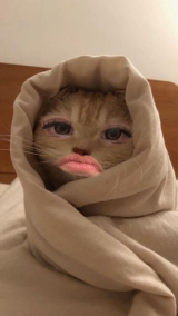 風俗,ソープ,ヘルス,ソープヘルス,マットヘルス,広島,薬研堀,はだかの王様,大人気