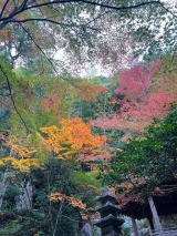 風俗,ソープ,ヘルス,ソープヘルス,マットヘルス,広島,薬研堀,はだかの王様,大人気