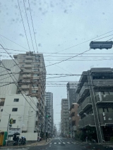 風俗,ソープ,ヘルス,ソープヘルス,マットヘルス,広島,薬研堀,はだかの王様,大人気