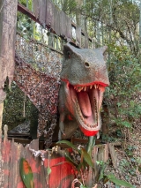 風俗,ソープ,ヘルス,ソープヘルス,マットヘルス,広島,薬研堀,はだかの王様,大人気