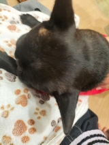 風俗,ソープ,ヘルス,ソープヘルス,マットヘルス,広島,薬研堀,はだかの王様,大人気