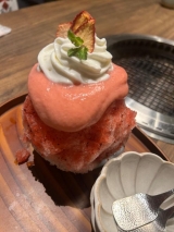 風俗,ソープ,ヘルス,ソープヘルス,マットヘルス,広島,薬研堀,はだかの王様,大人気